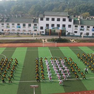 һһ̫̫һ˻СޭʵСѧǧ̫չʾ