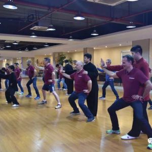 500ǿAkzo Nobel N.V߹꽡̫ѧϰ̫ȭ