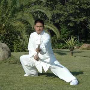 ־ǿʦԪڻٰ̫̹ѵϼһ·߰