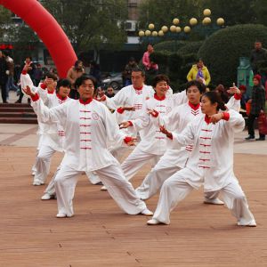 ӭ´ ߽½2018̫ȭչʾԲ