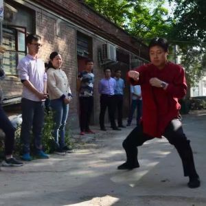 ʮܳꡱ֮С2017̫ʢȱ