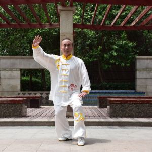 ʮ֮硪2017̫ʢȱ