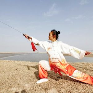 ̫ȭ㴫ʹߡ֮١2017̫ʢȱ