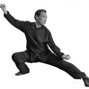 �����������ݽ�ȭʮ���� �������������