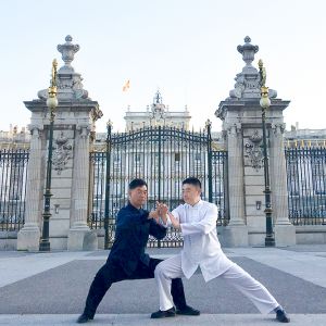 ¼ҹ̫ȭŸ´ʹ㳡䶯̫