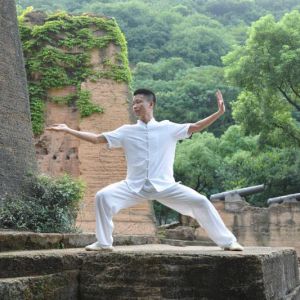 ̫֮ݹݳӦϷһд̫ȭ