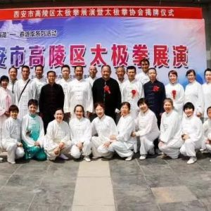 ̫ȭЭƳ ̫ȭԬѡһϯ