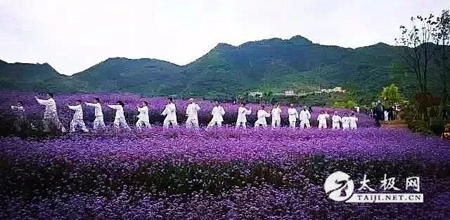 ȭȤ䵭ϲȭĹؼ׶εˡ