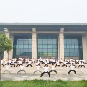 ¼ҹŸ̫ȭüɽݣ2018ٶٰ