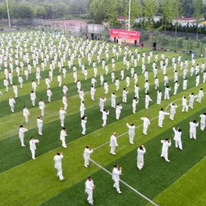 2018ǨȫЭƹǧ̫ȭչʾ¡ؾ