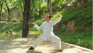 ھٰ조߽ɭ̫߼ѵ׽ɭ̫ȭ֪ͨ