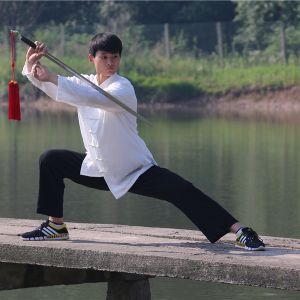 ʮ̫ܳꡱ֮κϡ2017̫ʢȱ