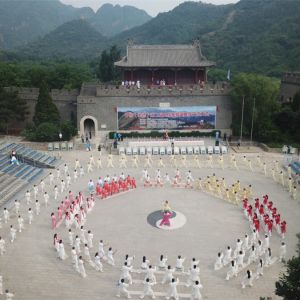 ǧȭѻ¹س۽ йеµڶ̫ȭӢչʾ