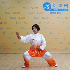 ʽͳ̫ȭʽͳ̫-ɽñĽ̫ȭƵ ...