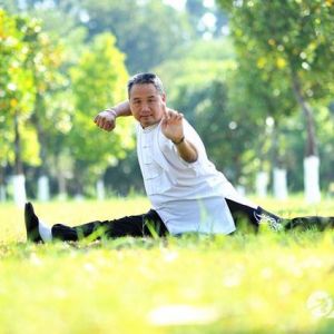 Тԭػʮʽ̫ȭԲ̫ȭ-ɽñĽ̫ȭ ...