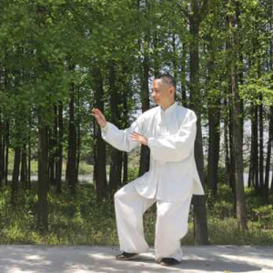 䵤ʽ̫ȭʮʽ-ɽñĽ̫ȭƵƷ