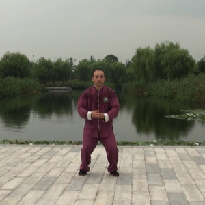 ƽʽ̫ ʽ̫ȭʮʽ-ɽñĽ̫ȭƵ ...