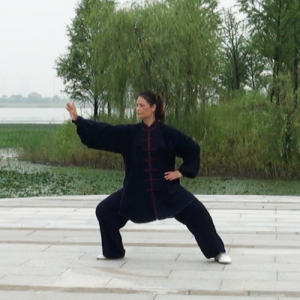 ʽ̫ ʽ̫ȭϼһ·-ɽñĽ̫ȭƵ ...