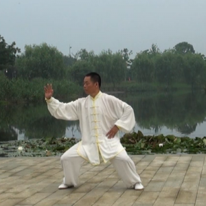 ʽ̫ȭʮʽ ʽ̫-ɽñĽ̫ȭƵ ...