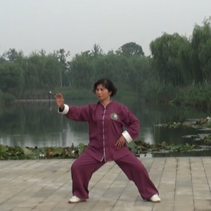 ׷ʽ̫ȭʮʽ ʽ̫-ɽñĽ̫ȭƵ ...