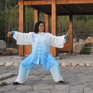 Ϳϼʽ̫ȭʮʽ ̫-ɽñĽ̫ȭƵƷ