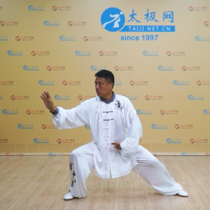 ʽͳ̫ȭ ʽͳ̫-ɽñĽ̫ȭƵ ...