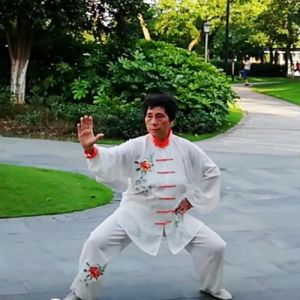 ΰʽ̫ȭҪʮʽ ʽ̫49ʽ-ɽñĽ̫ȭƵ ...