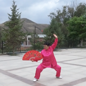 ảӢ̫ȵ-ɽñĽ̫ȭƵƷ