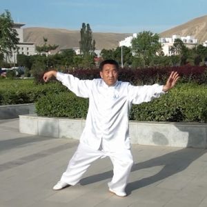 ˳Ԫʽ40ʽ̫ȭ-ɽñĽ̫ȭƵƷ