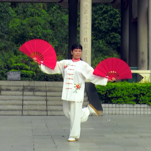 48ʽ̫˫-ɽñĽ̫ȭƵƷ