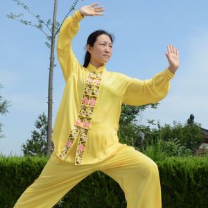 ϰʮʽ̫ȭ-ɽñĽ̫ȭƵƷ