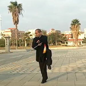 Ԭʽ̫ȭʮʽ ʽ̫-ɽñĽ̫ȭƵ ...