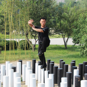 Ƚʽ̫ȭԱ·-ɽñĽ̫ȭƵƷ