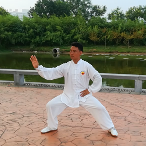 ռ̫ȭ19ʽ-ɽñĽ̫ȭƵƷ