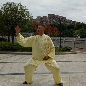 Ϳٿʽ̫ȭʮʽ-ɽñĽ̫ȭƵƷ