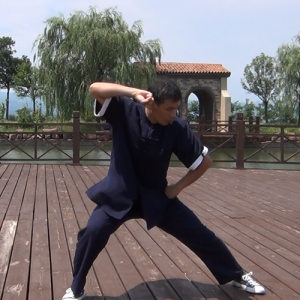 źγ̫ȭСһ·-ɽñĽ̫ȭƵƷ