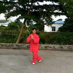 񰮷ȭ-ɽñĽ̫ȭƵƷ