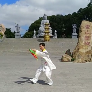 Ƴϼ̫ȭ̫13-ɽñĽ̫ȭƵ ...