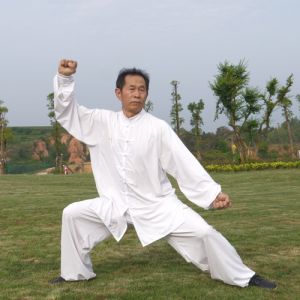 ɳ̫ȭѡ· ̫ʮʽ-ɽñĽ̫ȭƵ ...