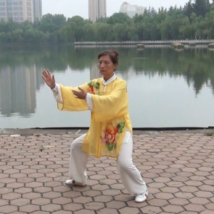 ʽͳ̫-ɽñĽ̫ȭƵƷ