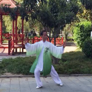 ͦʽͳ̫ 42ʽ̫ȭ-ɽñĽ̫ȭƵ ...