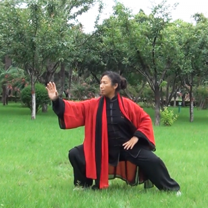 ʽͳ̫ȭ 42ʽ̫ȭ-ɽñĽ̫ȭƵƷ