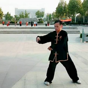 ޵ʽ֣̫ȭ37ʽ-ɽñĽ̫ȭƵƷ