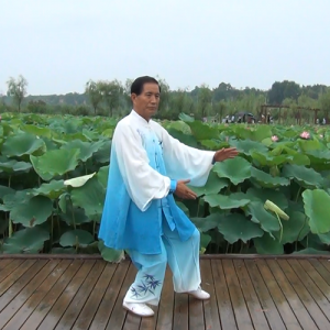 㽨̫ȭ 32ʽ̫-ɽñĽ̫ȭƵƷ