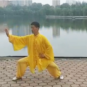 ѧʽͳ̫ȭ-ɽñĽ̫ȭƵƷ