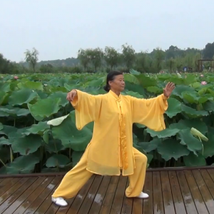 Τʽͳ̫ȭ 42ʽ̫ȭ-ɽñĽ̫ȭƵ ...