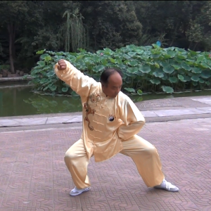 ʽ̫ȭ ʽ̫-ɽñĽ̫ȭƵƷ