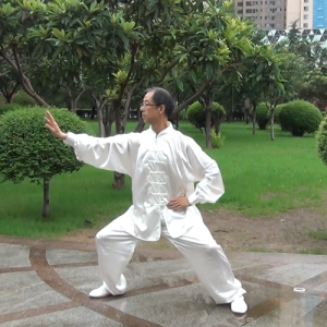 ֻʽͳ̫ȭ-ɽñĽ̫ȭƵƷ