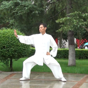 ʽͳ̫ȭ-ɽñĽ̫ȭƵƷ