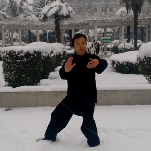 ʽͳ̫ȭ-ɽñĽ̫ȭƵƷ